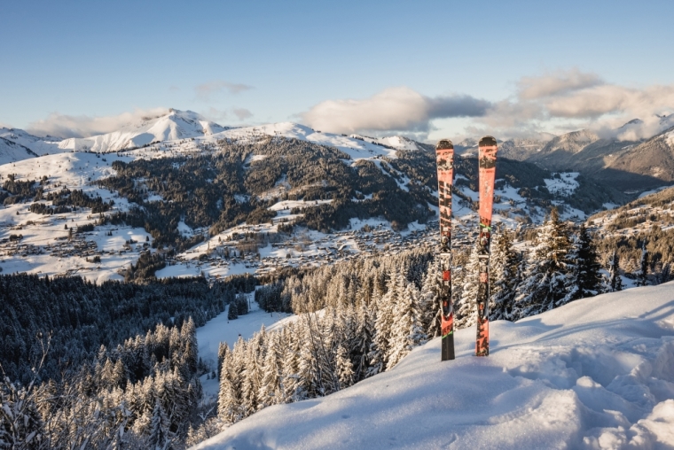 Our tips to help you chose the right ski for you